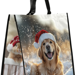 Noël Chien/Chat